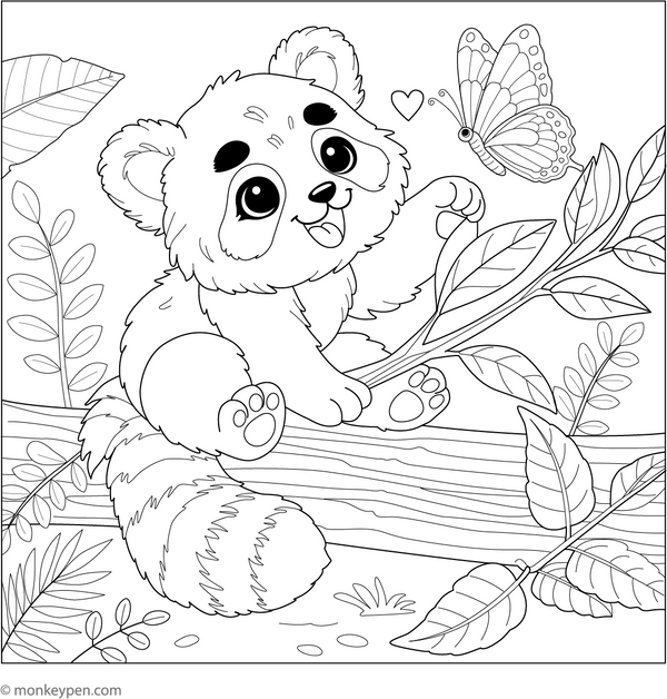 Red panda Coloring Book