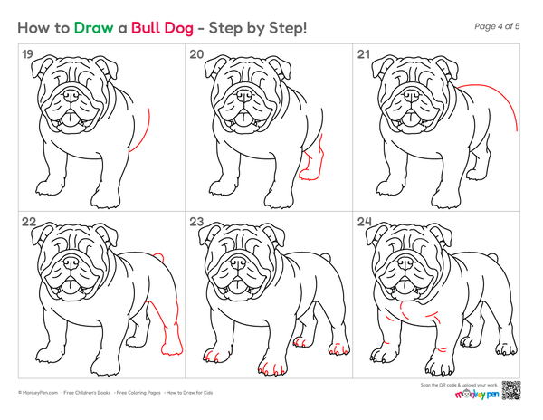 Step-by-step bulldog sketch featuring a wrinkled face and short legs.