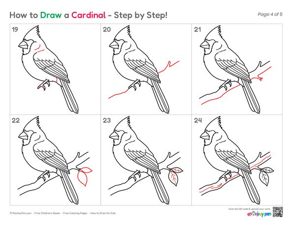 Cute cardinal bird drawing tutorial designed for beginner young artists.