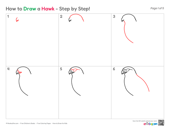 How to Draw a Hawk – Simple Step-by-Step Bird Drawing for Kids