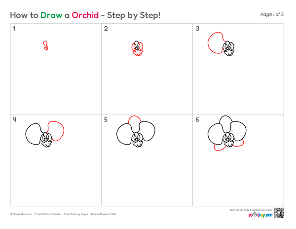 How to Draw an Orchid – Easy Step-by-Step Flower Drawing for Kids