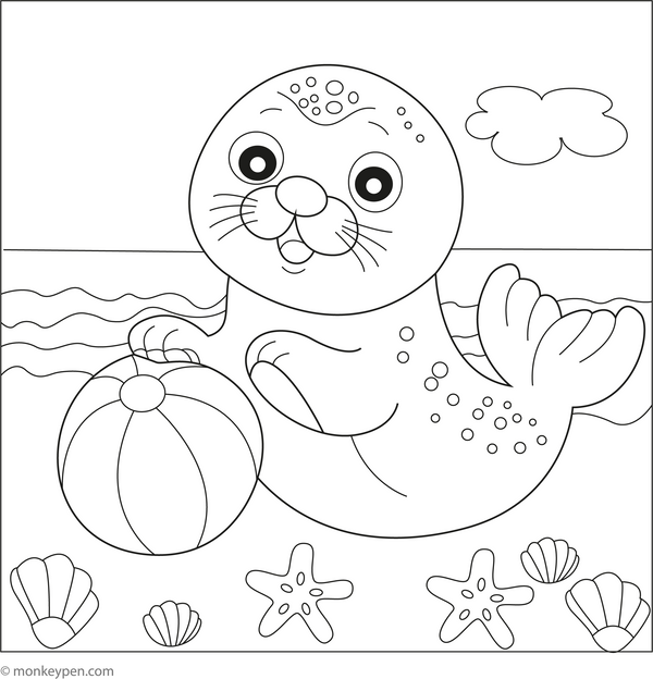 Seal Coloring Book