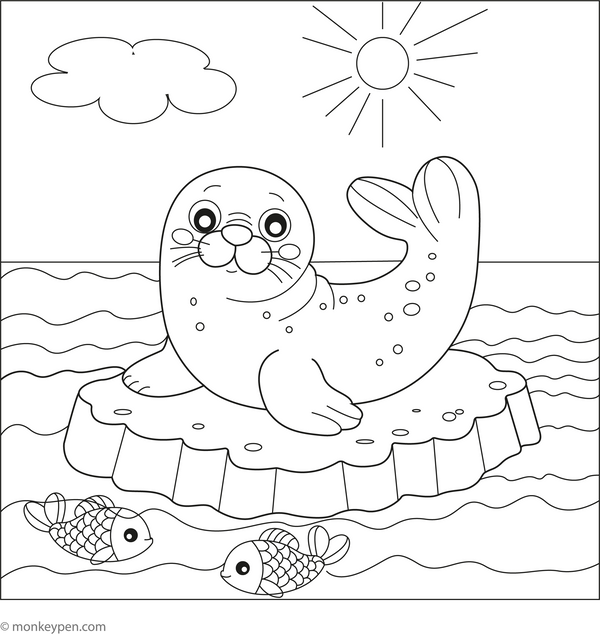 Seal Coloring Book