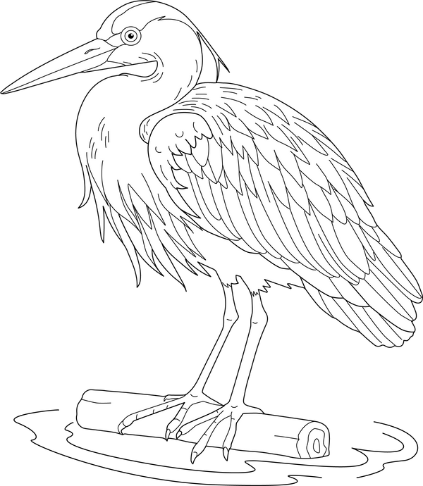 Heron coloring page – fun and educational printable for children