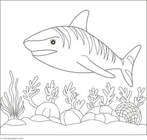 Tiger Shark coloring page – free printable for kids to color and enjoy
