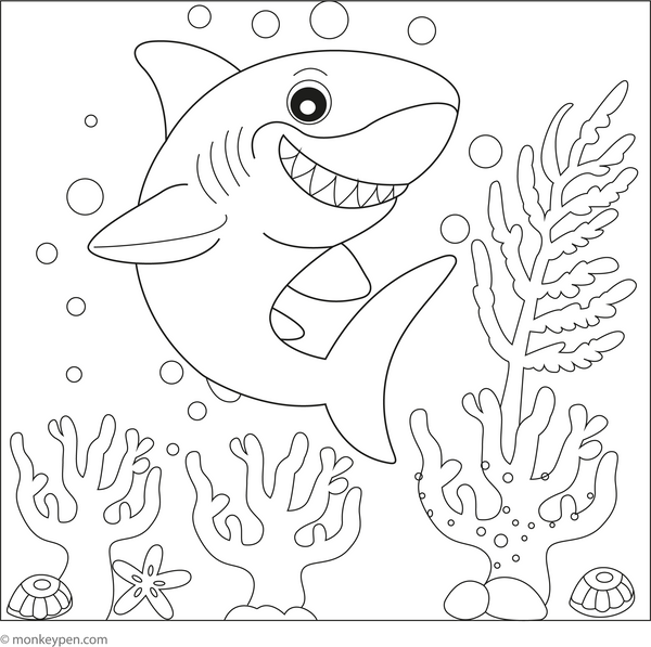 Shark Coloring Book