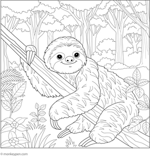 Sloth in the Forest coloring page – free printable for kids to color and enjoy