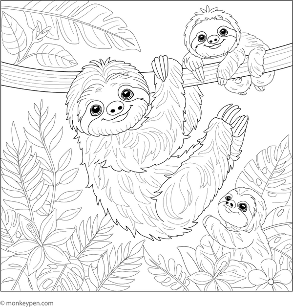 Sloth Coloring Book