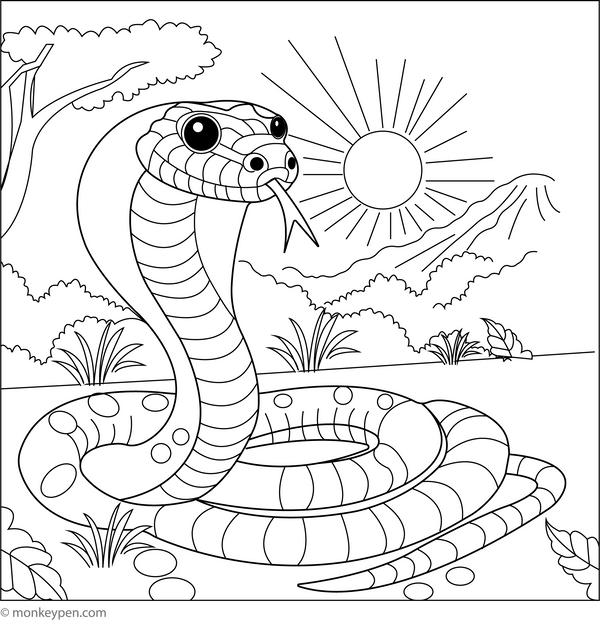 Snake Coloring Book