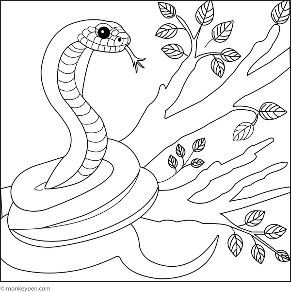 Curled up Snake coloring page – free printable for kids to color and enjoy