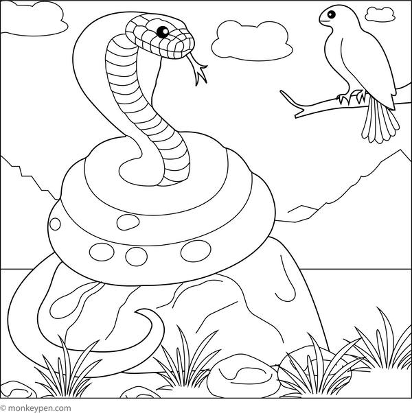 Snake Coloring Book