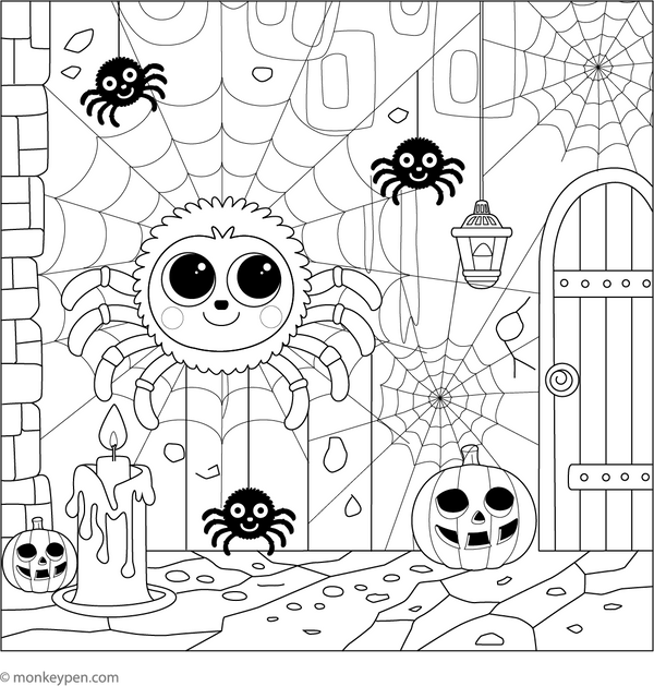 Spider Coloring Book