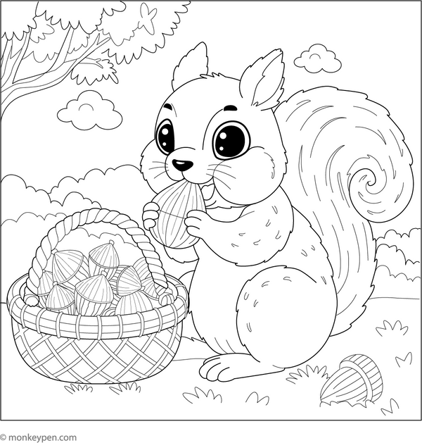 Squirrel Coloring Book