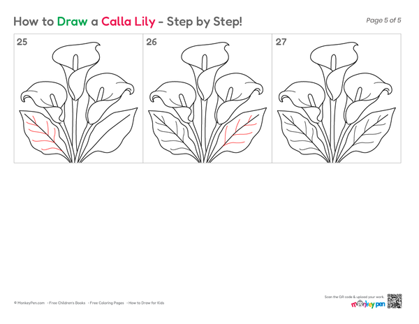 A coloring page titled 'How to Draw a Calla Lily - Step by Step!' showing three numbered panels with black line drawings of a calla lily.