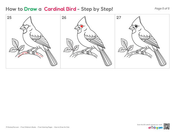 Simple Cardinal bird sketch for beginners
