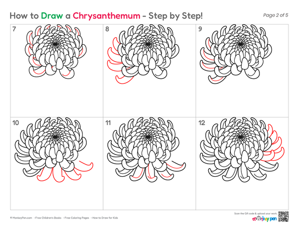 How to Draw a Chrysanthemum – Easy Step-by-Step Flower Drawing for Kids