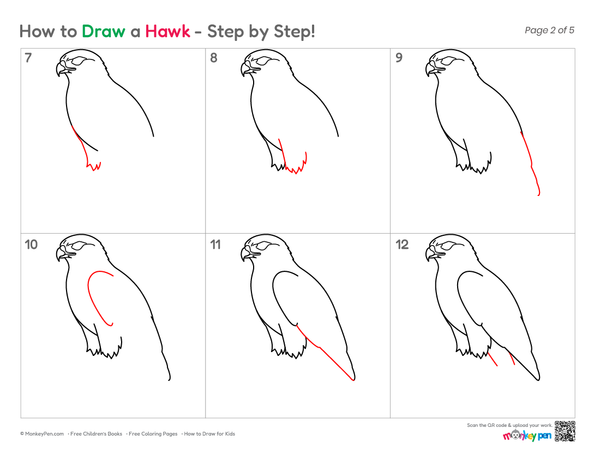 How to Draw a Hawk – Simple Step-by-Step Bird Drawing for Kids