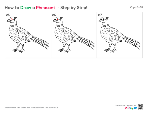 Beginner-friendly Pheasant drawing