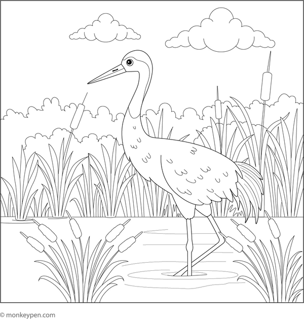 Crane in a Wetland coloring page – free printable for kids to color and enjoy