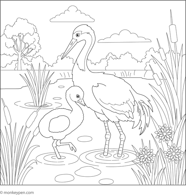 Printable Crane Coloring Book