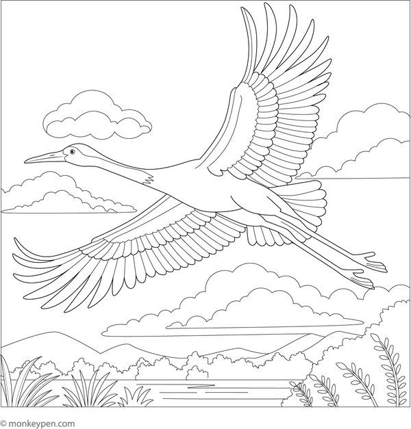Printable Crane Coloring Book