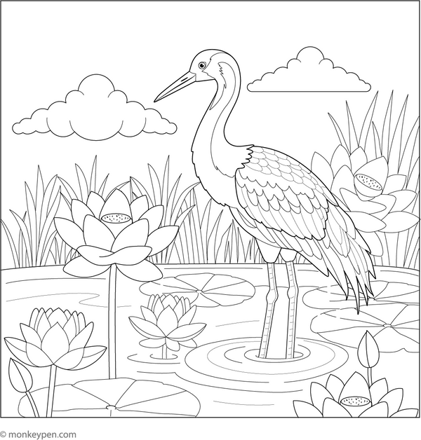 Crane and a Lotus Pond coloring page – free printable for kids to color and enjoy