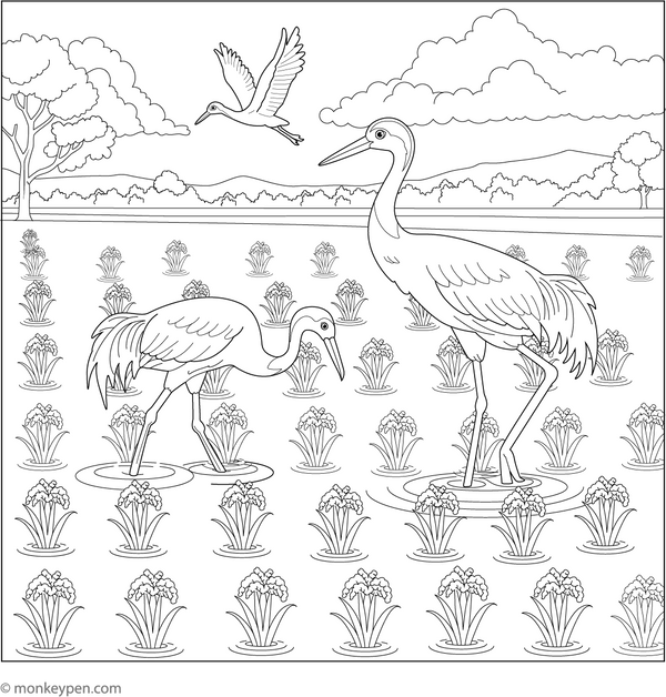 Printable Crane Coloring Book