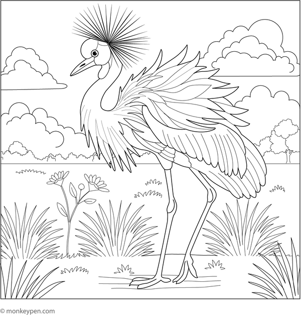 African Crane Bird coloring page – free printable for kids to color and enjoy