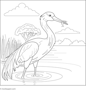 Crane Eating Fish coloring page – free printable for kids to color and enjoy