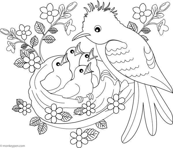 Cuckoo Coloring Book