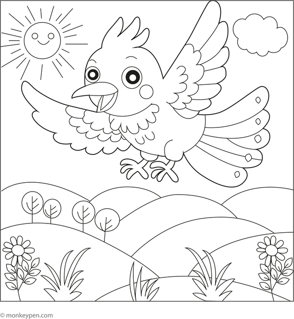 Cuckoo Coloring Book