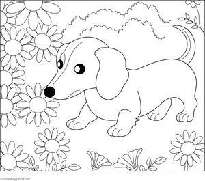 Dachshund in a Flower Garden coloring page – free printable for kids to color and enjoy
