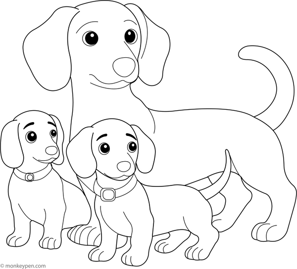 Dachshund and Puppy Friends coloring page – free printable for kids to color and enjoy