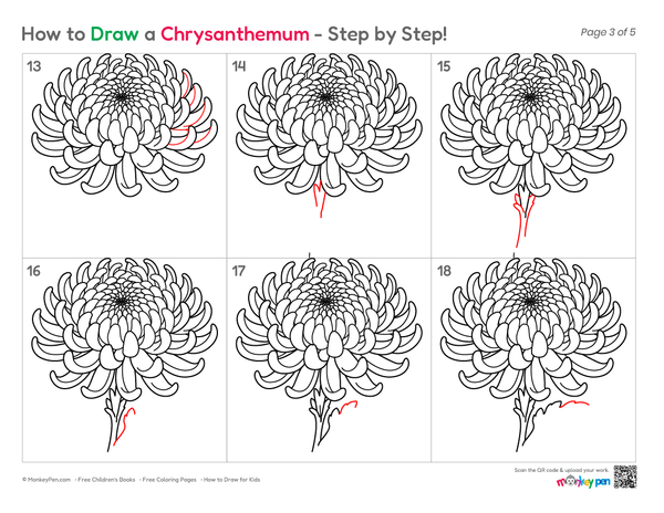 How to Draw a Chrysanthemum – Easy Step-by-Step Flower Drawing for Kids