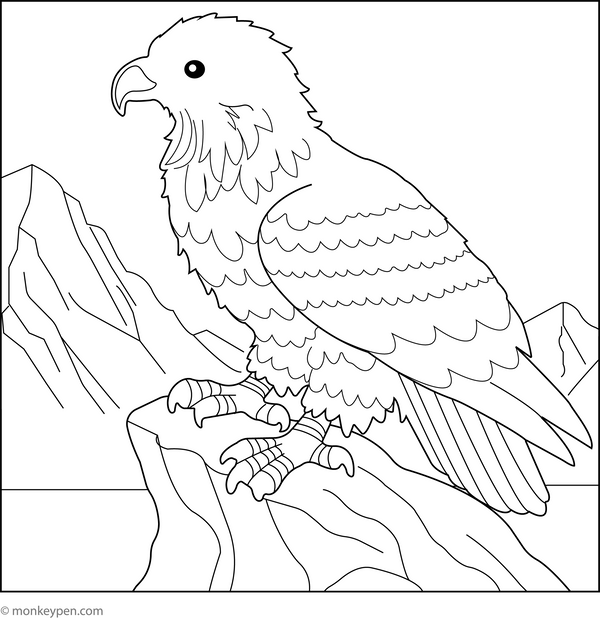 Free Eagle Coloring Book (Printable PDF)