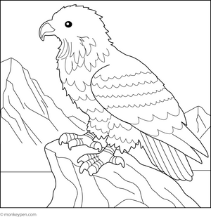 Bald Eagle Perched on a Cliff coloring page – free printable for kids to color and enjoy
