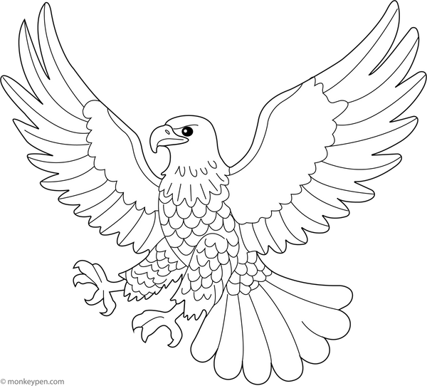 Eagle with Spread Wings coloring page – free printable for kids to color and enjoy