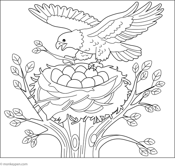 Eagle's Nest coloring page – free printable for kids to color and enjoy