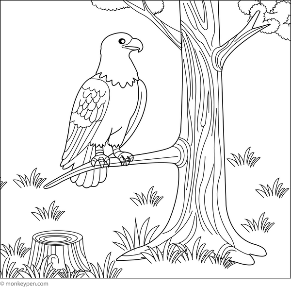 Eagle in the forest coloring page – free printable for kids to color and enjoy