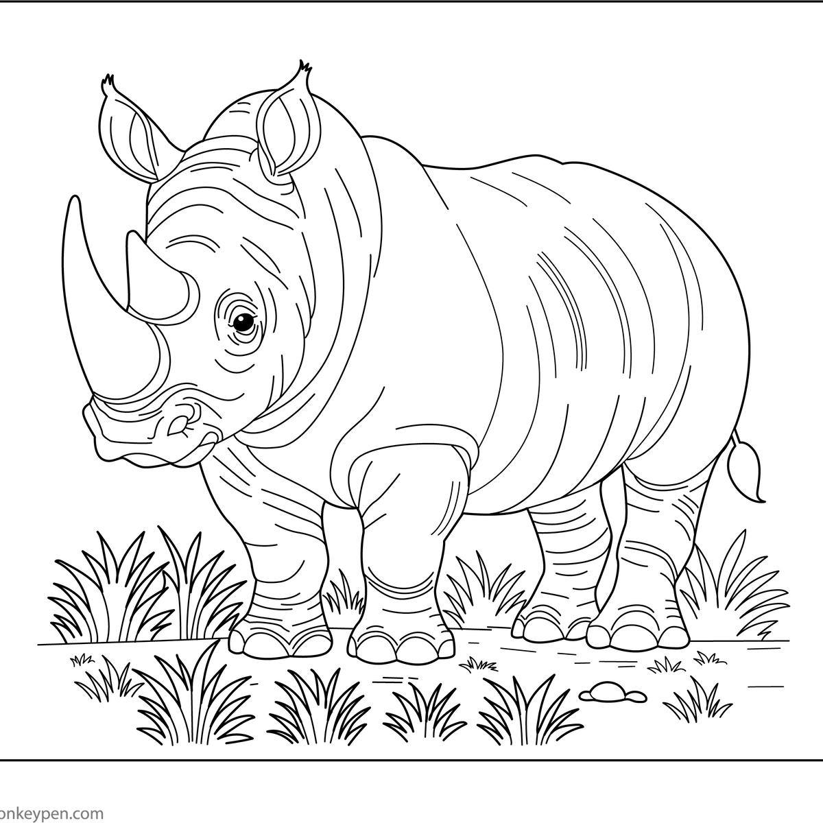 Rhino Coloring Book