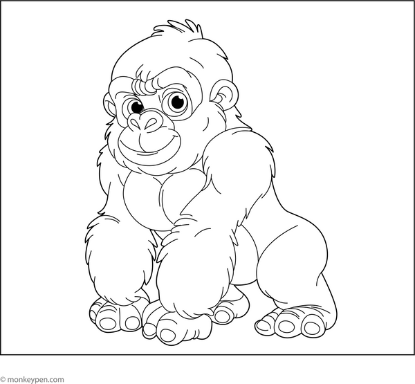 Western Lowland Gorilla colouring Page coloring page – free printable for kids to color and enjoy