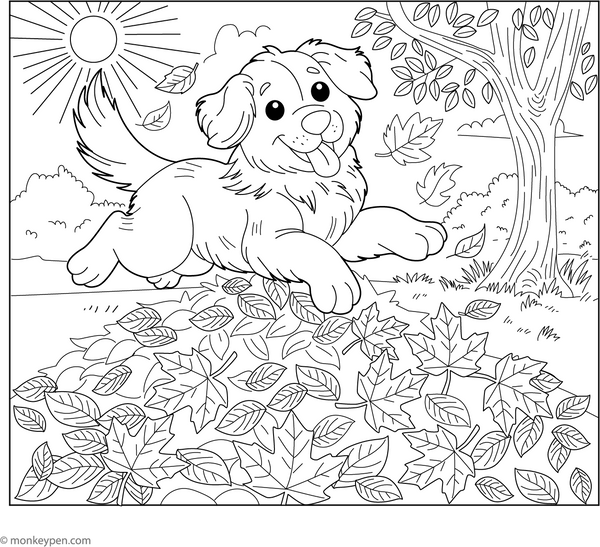 Golden Retriever Coloring Book -Instant PDF Download