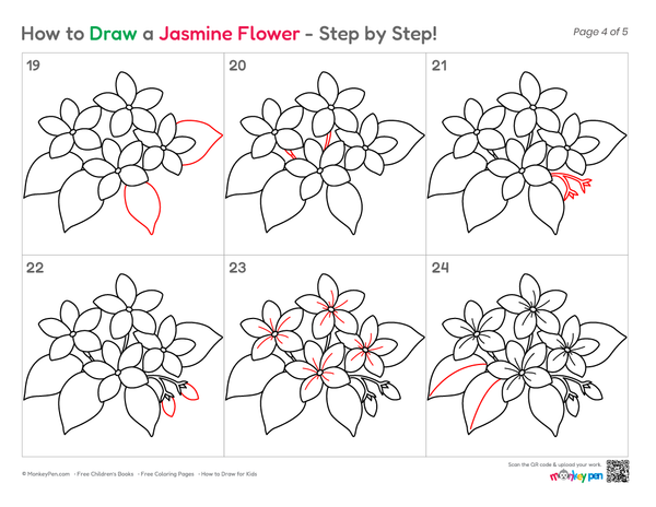 How to Draw a Jasmine Flower – Simple Step-by-Step Flower Drawing for Kids
