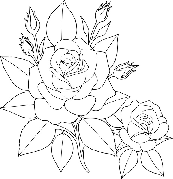 Flowers coloring page – fun and educational printable for children
