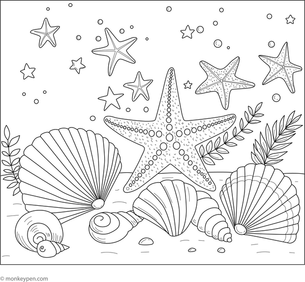 Starfish and Seashells coloring page – free printable for kids to color and enjoy