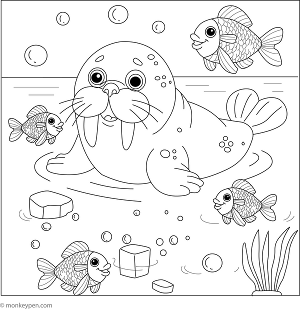 Seal Coloring Book