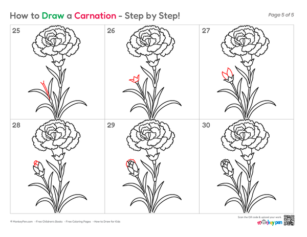 How to Draw a Carnation – Simple Step-by-Step Flower Drawing for Kids