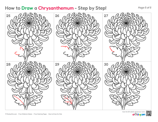 How to Draw a Chrysanthemum – Easy Step-by-Step Flower Drawing for Kids