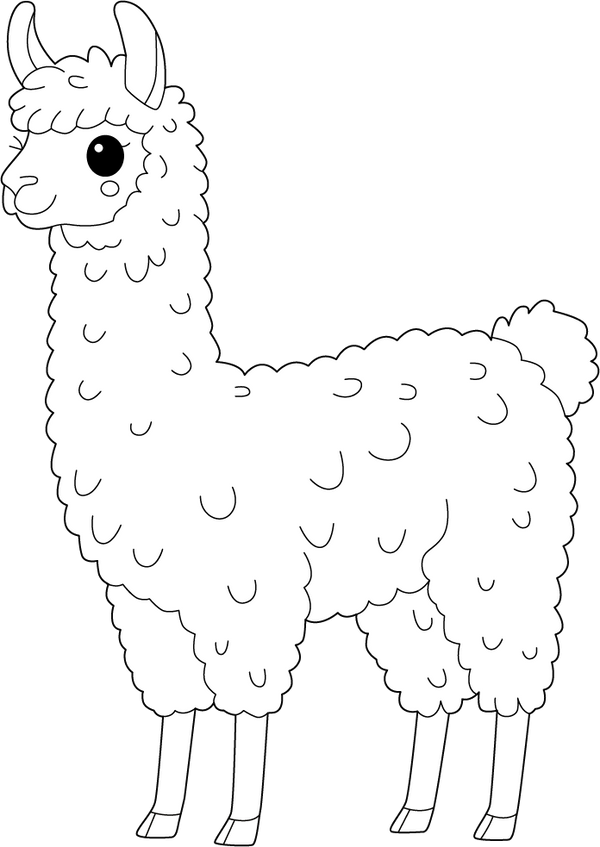 Ilama coloring page – fun and educational printable for children