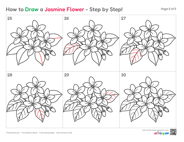 How to Draw a Jasmine Flower – Simple Step-by-Step Flower Drawing for Kids